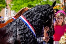 IMG_1943.jpeg