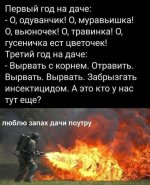 1747155738.jpg
