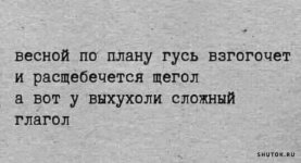 1747123126.jpg