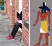 1747286551.jpg