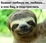 8933614_original.jpg