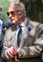 gettyimages-2214927562-612x612.jpg