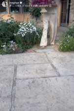 IMG_2142.jpeg