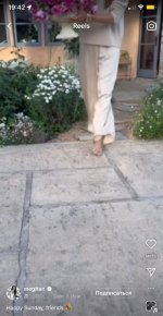 IMG_2143.jpeg