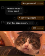 image (2934).png