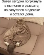 1747684093049.webp