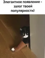 1747684584416.webp