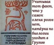 1747748125.jpg