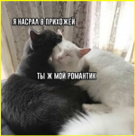 image (3181).png