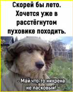 image (3167).png