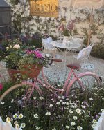 IMG_2250.jpeg