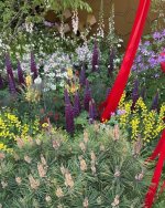 IMG_2249.jpeg