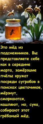 1748033182.jpg