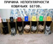 20088347.jpg
