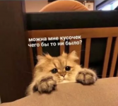 1748100147957.png