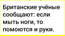 image (3927).png
