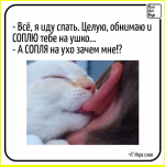 image (4030).png