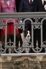 IMG_2436.jpeg