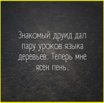 image (4339).png