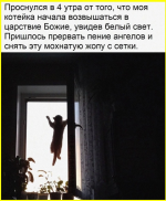 image (4399).png