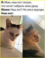 image (4408).png