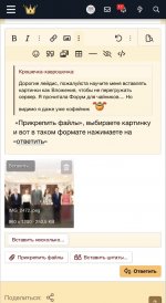 IMG_2480.jpeg