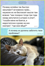 image (4706).png