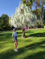 IMG_20250529_202835.jpg