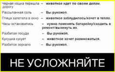 image (4747).png