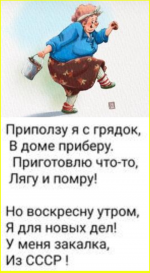 image (5063).png