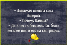 image (395).png