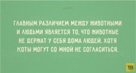 1748972011.jpg