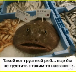 image (513).png