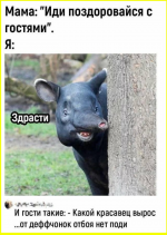 image (512).png