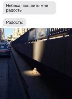 1749184234.jpg