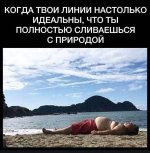 линии.jpg