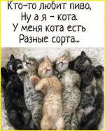 image (1564).png