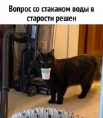 66098053_original.jpg