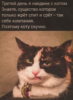 66095350_original.jpg