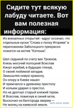 image (2048).png
