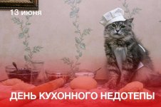 IMG_20250613_130236_835.jpg