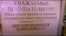 66160775_original.jpg