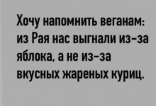 IMG_2997.jpeg