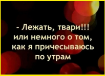 image (2631).png