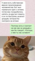 1749908981.jpg