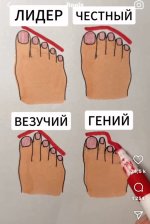 IMG_9348.jpeg