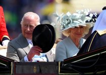 gettyimages-2220572529-612x612.jpg