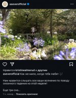IMG_3088.jpeg