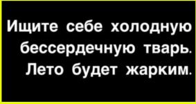 image (3178).png