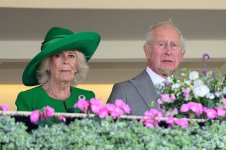 gettyimages-2220780864-612x612.jpg
